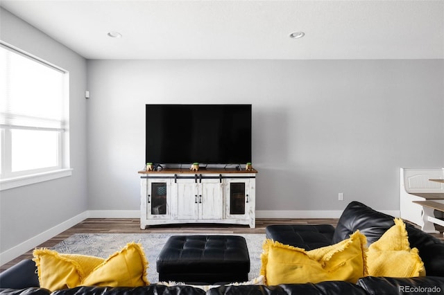 living room featuring hardwood / wood-style floors