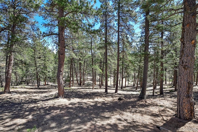 860 Spring Valley Dr, Divide, CO 80814