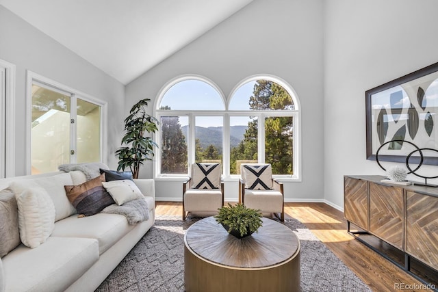 living room with high vaulted ceiling, a mountain view, and hardwood / wood-style floors