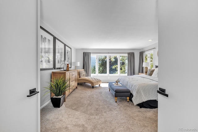 view of carpeted bedroom