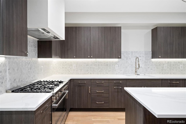 kitchen featuring sink, high end stainless steel range oven, wall chimney exhaust hood, decorative backsplash, and light hardwood / wood-style floors