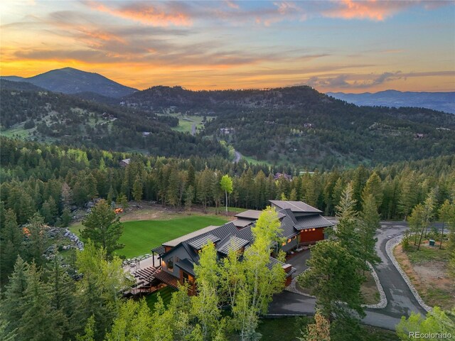 34089 Woodland Dr, Evergreen, CO 80439 - photo 49
