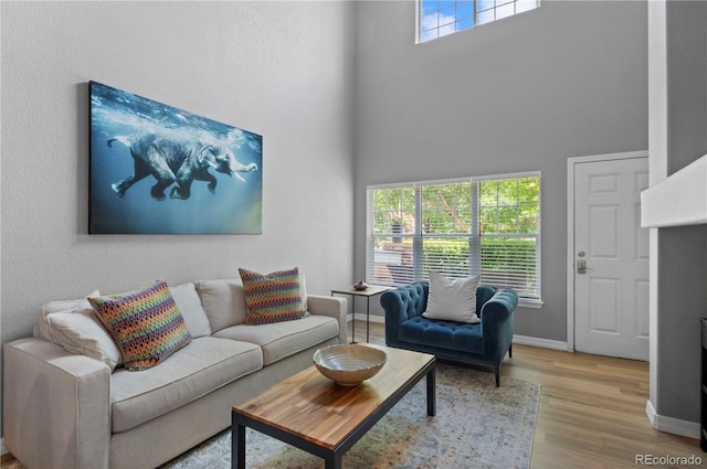14300 Waterside Ln Unit E3, Broomfield, CO 80023 - living area featuring a high ceiling and wood finished floors