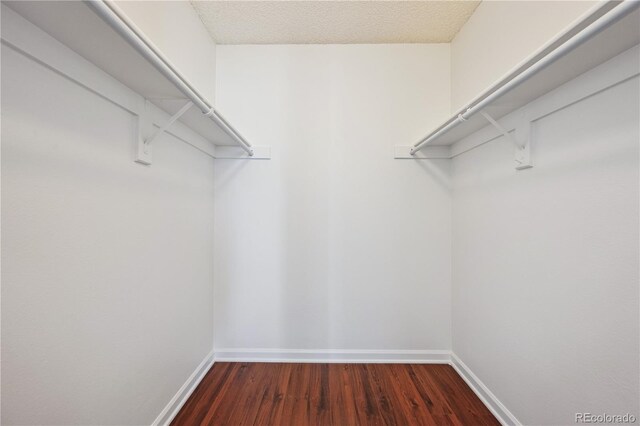 spacious closet featuring dark wood-type flooring