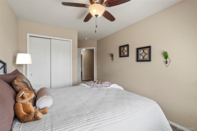 4298 Apache Plume Dr, Colorado Springs, CO 80920 - photo 26