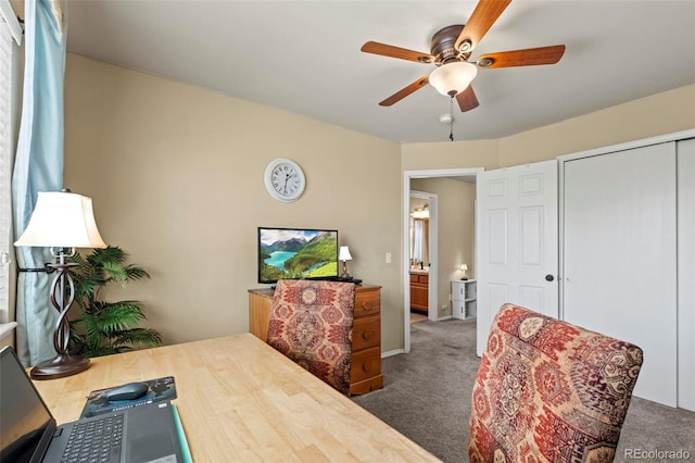 4298 Apache Plume Dr, Colorado Springs, CO 80920 - photo 28