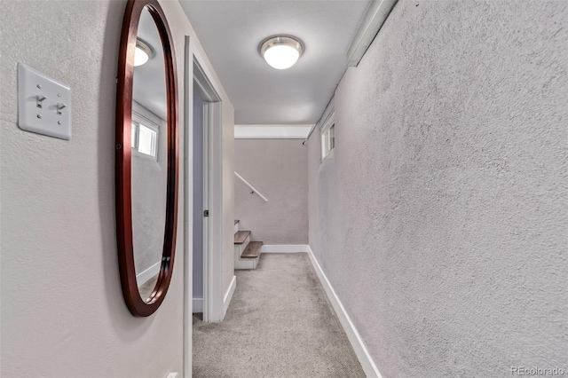 4654 Bryant St, Denver, CO 80211 - hall with a textured wall, carpet flooring, and stairs