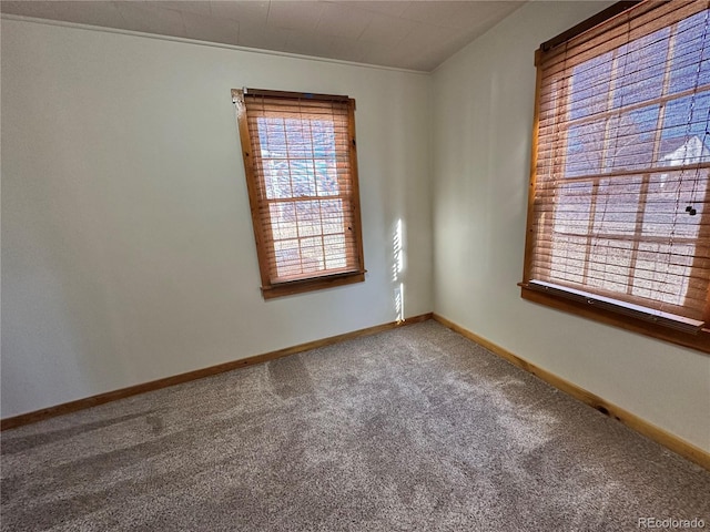 empty room featuring carpet and crown molding