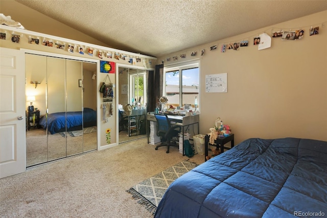 401 Forest Edge Rd Unit B2, Woodland Park, CO 80863 - bedroom featuring multiple closets, carpet flooring, a textured ceiling, an office area, and lofted ceiling