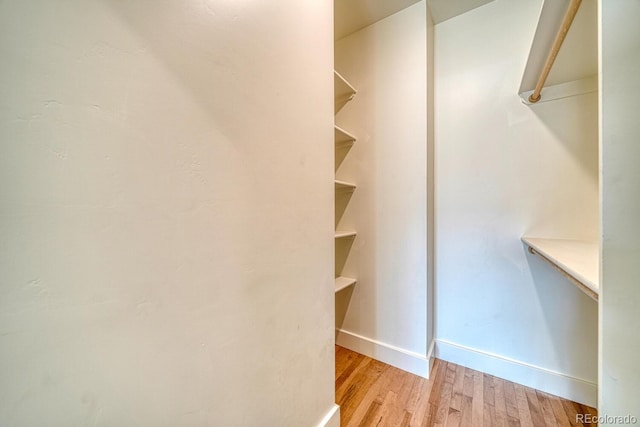 spacious closet with light wood-type flooring