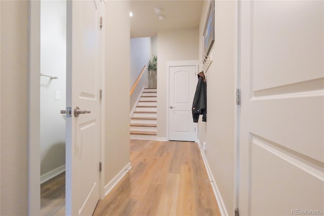 1919 W 165th Way, Broomfield, CO 80023 - corridor featuring light wood-style flooring and baseboards