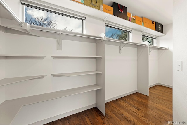 4035 Fenton Ct, Wheat Ridge, CO 80212 - spacious closet with dark wood-style flooring