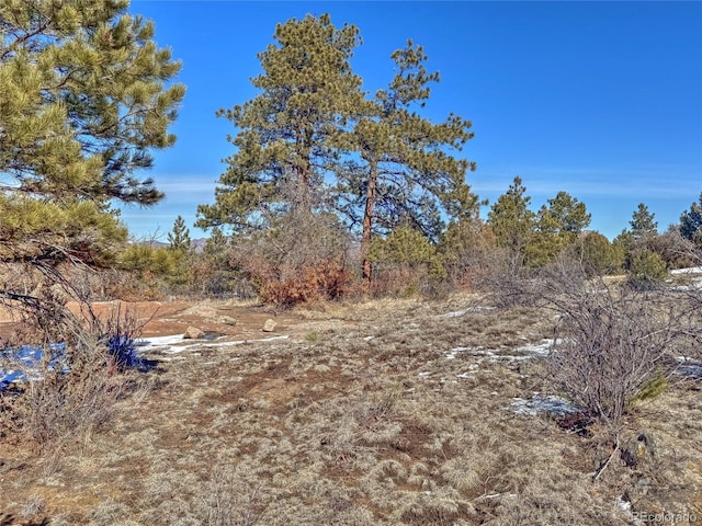 Listing photo 3 for 534 Aspen Trail Rd, Westcliffe CO 81252