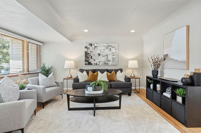 living room featuring light hardwood / wood-style floors