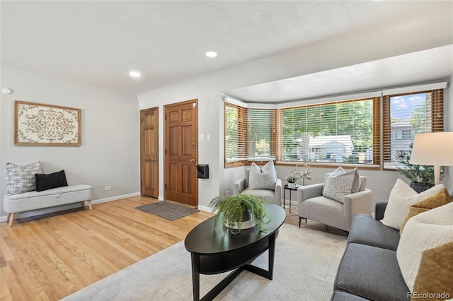 living room featuring light hardwood / wood-style flooring