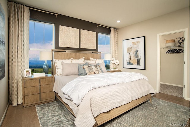 bedroom featuring a spacious closet, wood finished floors, baseboards, and a closet