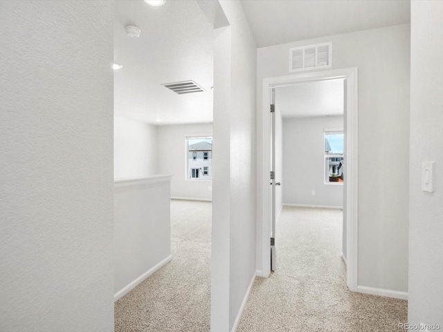 1131 Thunder Pass Rd, Severance, CO 80550 - photo 21