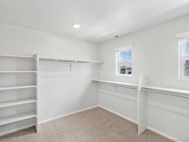 1131 Thunder Pass Rd, Severance, CO 80550 - photo 30