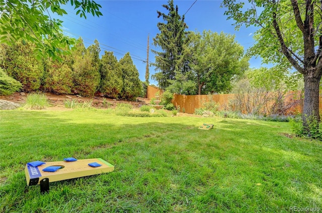7261 S Colorado Ct, Centennial, CO 80122 - view of yard