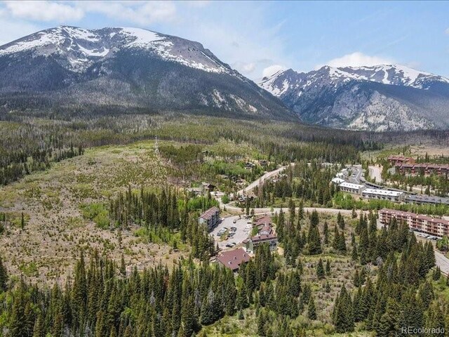 10000 Ryan Gulch Rd Unit 116, Silverthorne, CO 80498 - view of mountain backdrop featuring a forest