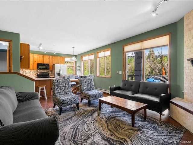 10000 Ryan Gulch Rd Unit 116, Silverthorne, CO 80498 - living area featuring rail lighting, wood finished floors, and a baseboard radiator