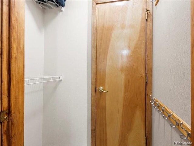 10000 Ryan Gulch Rd Unit 116, Silverthorne, CO 80498 - view of walk in closet
