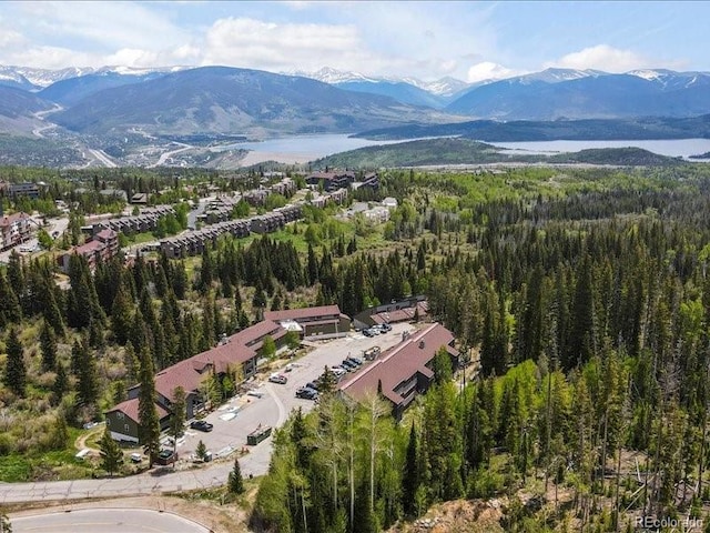 10000 Ryan Gulch Rd Unit 116, Silverthorne, CO 80498 - bird's eye view of a mountainous background