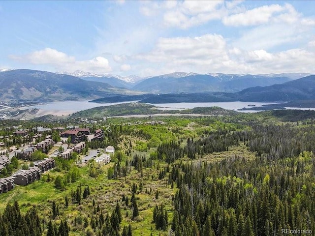 10000 Ryan Gulch Rd Unit 116, Silverthorne, CO 80498 - mountain view featuring a forest