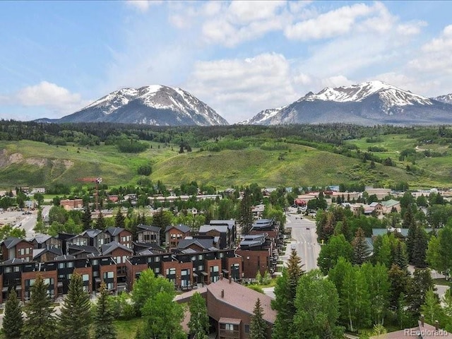 10000 Ryan Gulch Rd Unit 116, Silverthorne, CO 80498 - view of mountain background