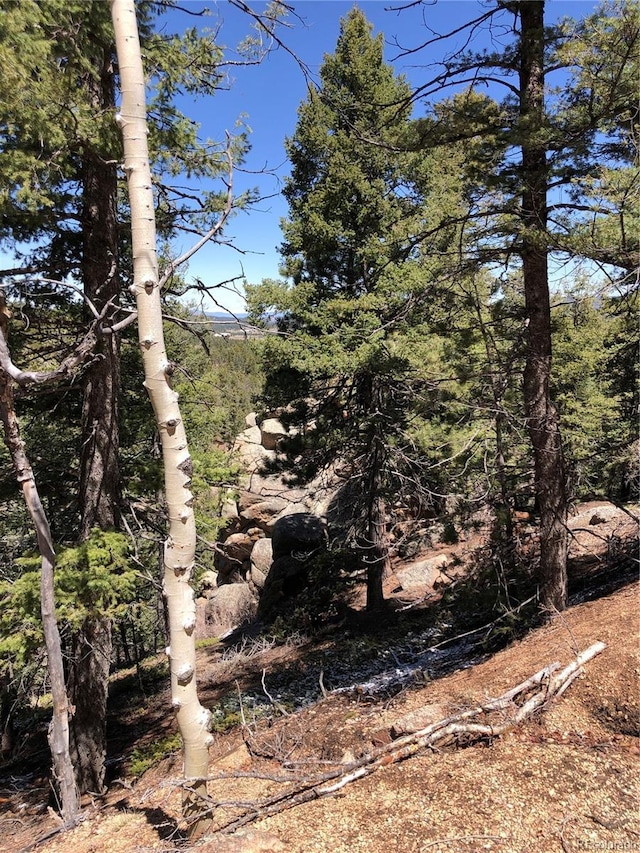 213 Osoeola Rd, Woodland Park, CO 80863 - photo 6