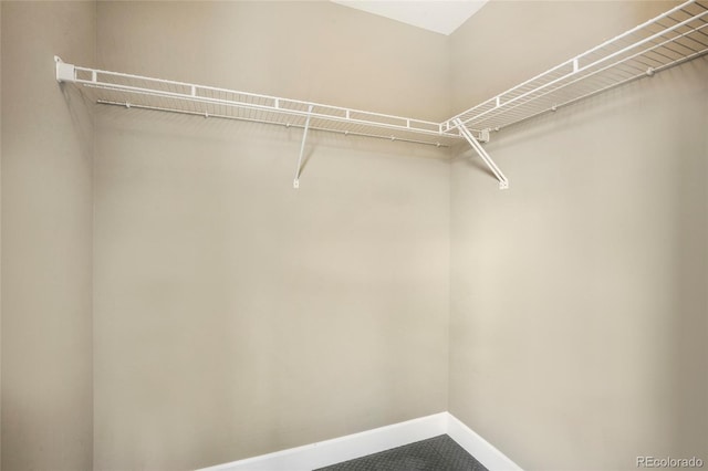 3450 Valentia St, Denver, CO 80238 - view of walk in closet