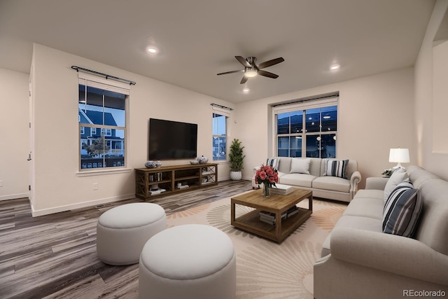 living room with ceiling fan and wood-type flooring