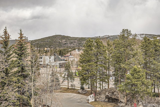 325 Four O Clock Rd Unit 303, Breckenridge, CO 80424 - view of mountain backdrop