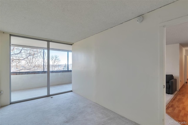 spare room with light colored carpet, a wall of windows, and a textured ceiling