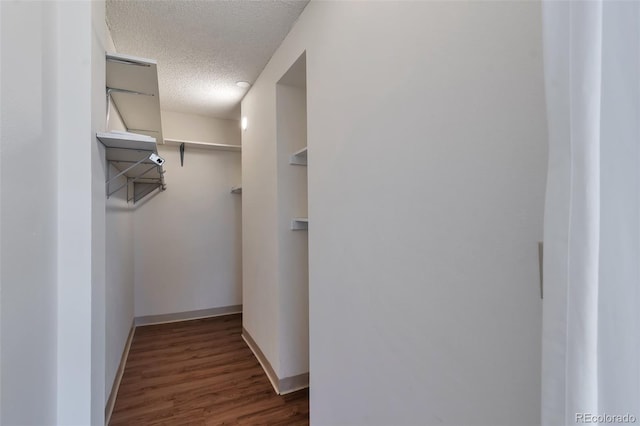 walk in closet featuring dark wood-type flooring