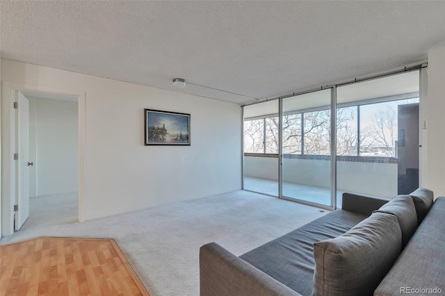 carpeted living room with a textured ceiling