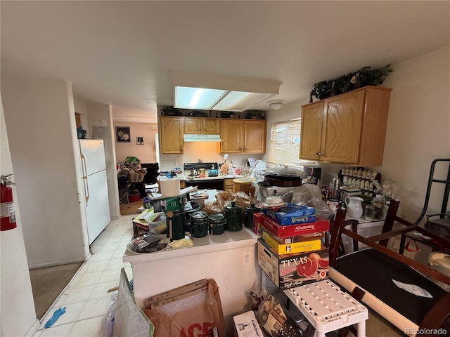 14874 E 52nd Ave, Denver, CO 80239 - kitchen featuring freestanding refrigerator, light flooring, under cabinet range hood, electric range oven, and light countertops
