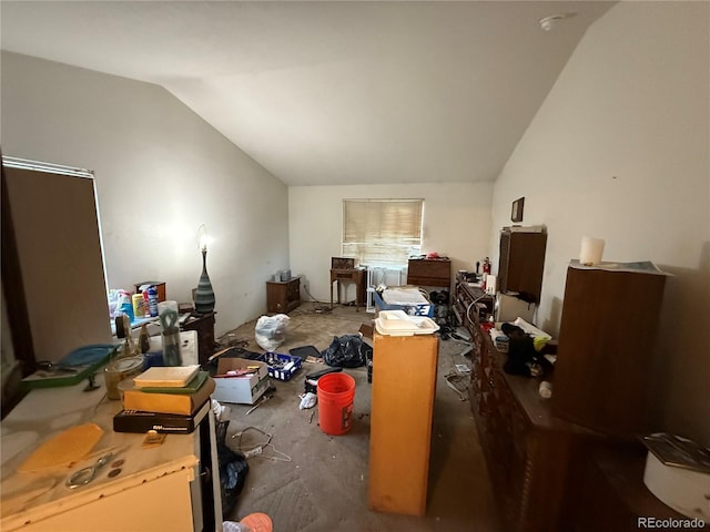 14874 E 52nd Ave, Denver, CO 80239 - additional living space with vaulted ceiling