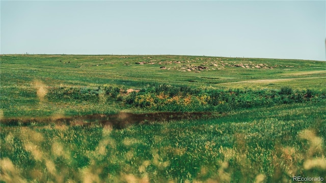 9455 County Road 94, Elbert, CO 80106 - photo 5