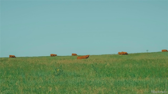 9455 County Road 94, Elbert, CO 80106 - photo 6