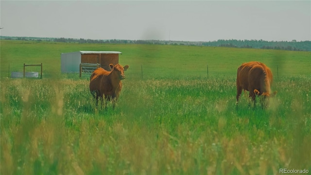 9455 County Road 94, Elbert, CO 80106 - photo 22