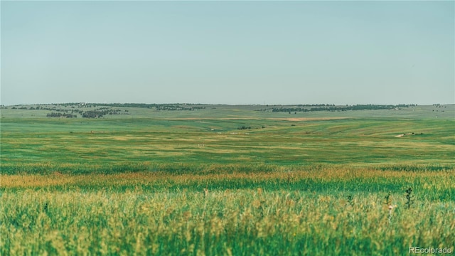 9455 County Road 94, Elbert, CO 80106 - photo 27