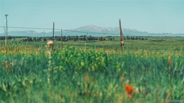 9455 County Road 94, Elbert, CO 80106 - photo 29