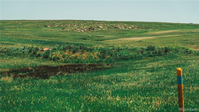 9455 County Road 94, Elbert, CO 80106 - photo 33