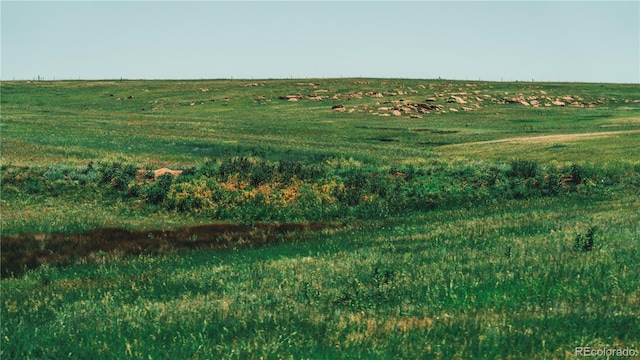 9455 County Road 94, Elbert, CO 80106 - photo 36