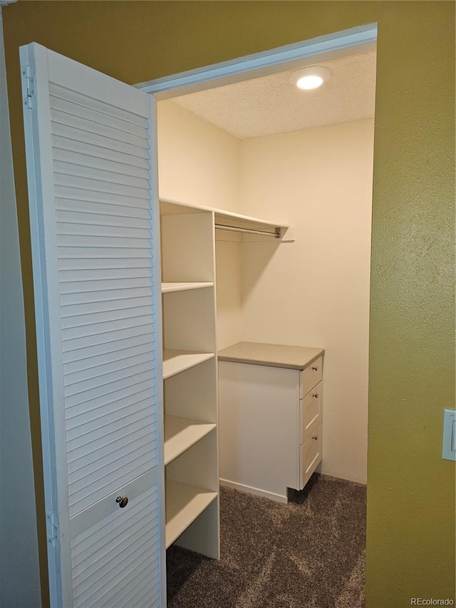 7000 W 20th Ave Unit 106, Lakewood, CO 80214 - walk in closet featuring dark colored carpet