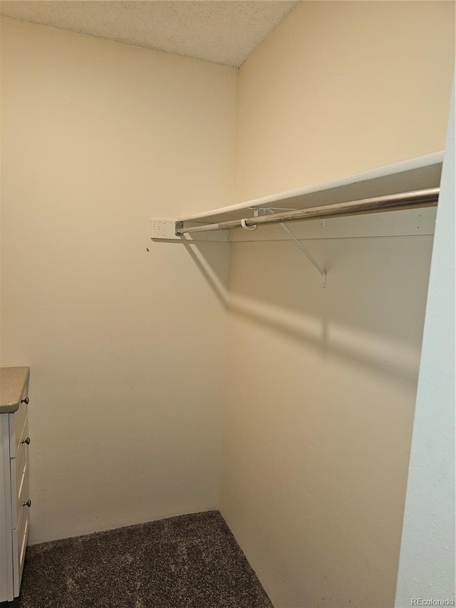 7000 W 20th Ave Unit 106, Lakewood, CO 80214 - view of walk in closet
