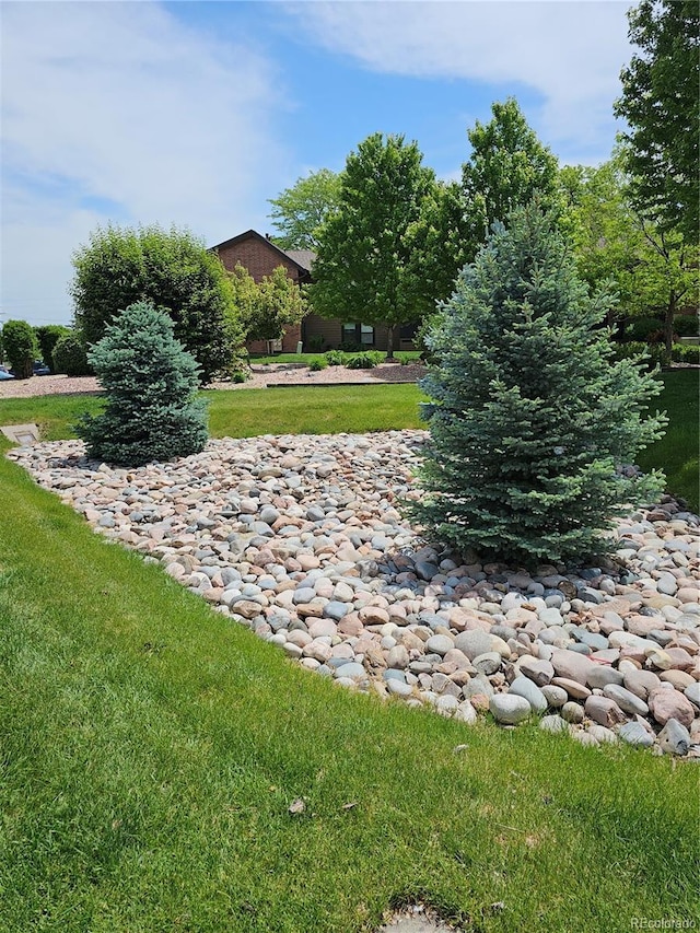 7000 W 20th Ave Unit 106, Lakewood, CO 80214 - view of grassy yard