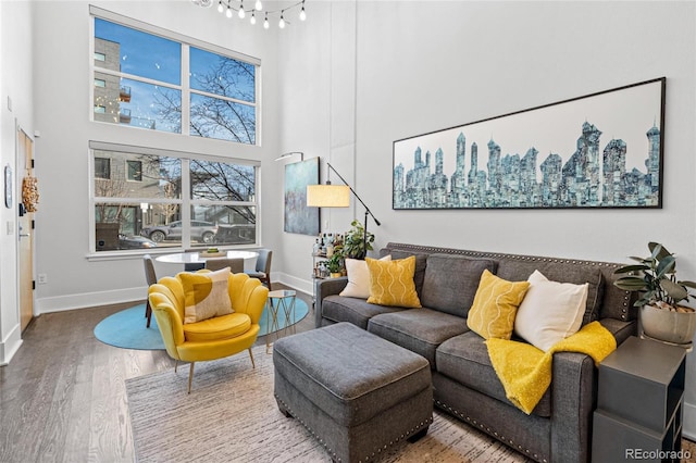 living room with a towering ceiling and hardwood / wood-style floors