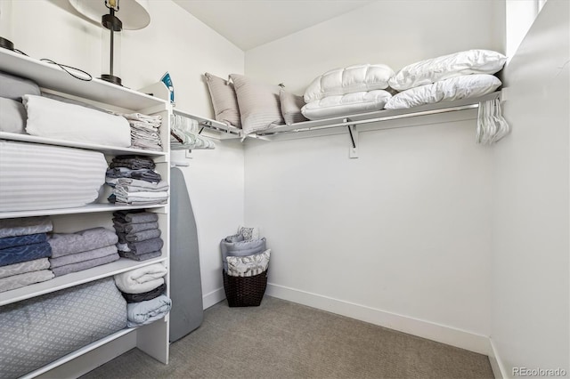 spacious closet featuring light colored carpet